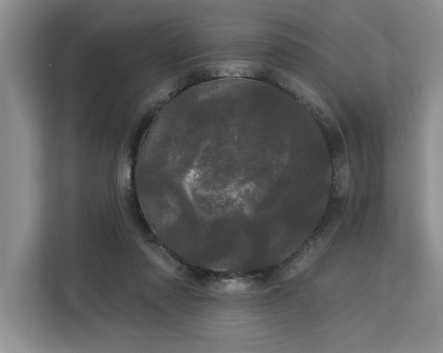 X0000113080310200908281228