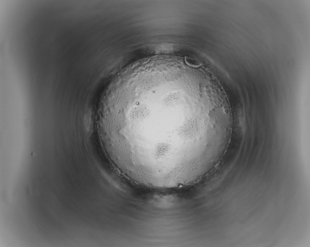 X0000113080311200908281228