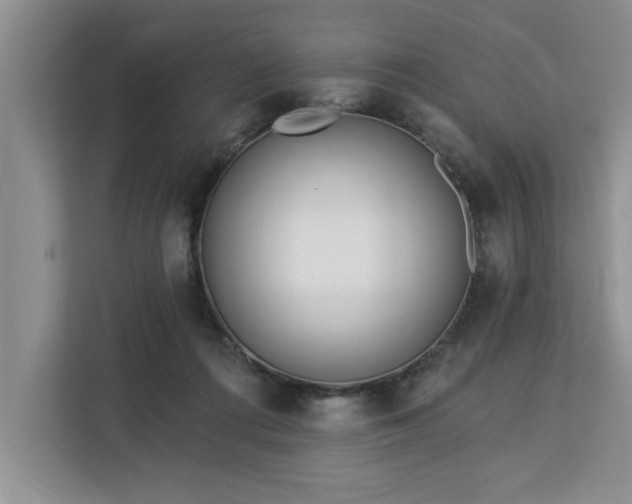 X0000113080312200908281228