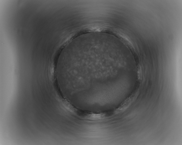 X0000113080314200908281228