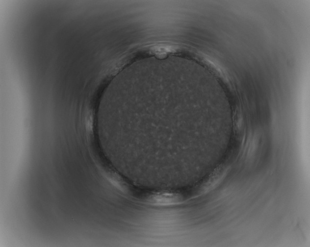 X0000113080315200908281228