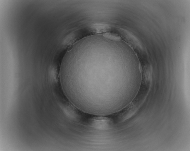 X0000113080316200908281228