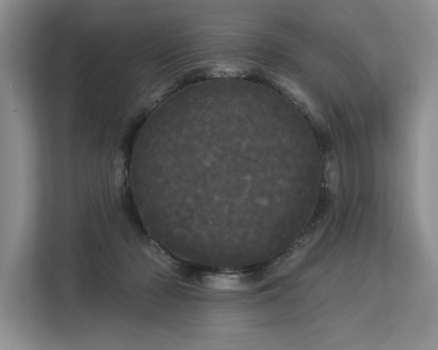 X0000113080318200908281228