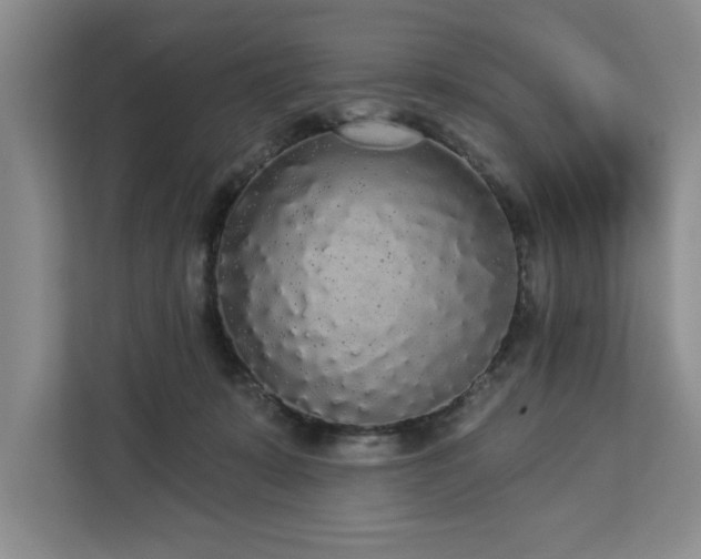 X0000113080319200908281228