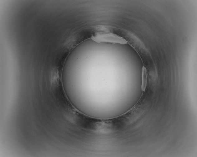 X0000113080320200908281228