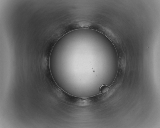 X0000113080321200908281228