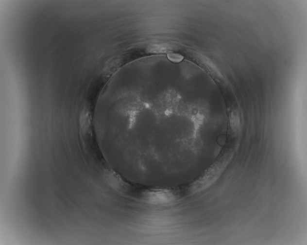 X0000113080322200908281228