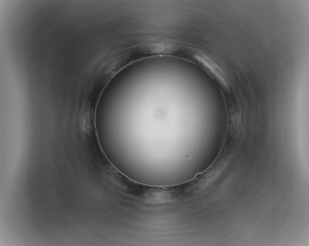 X0000113080325200908281228