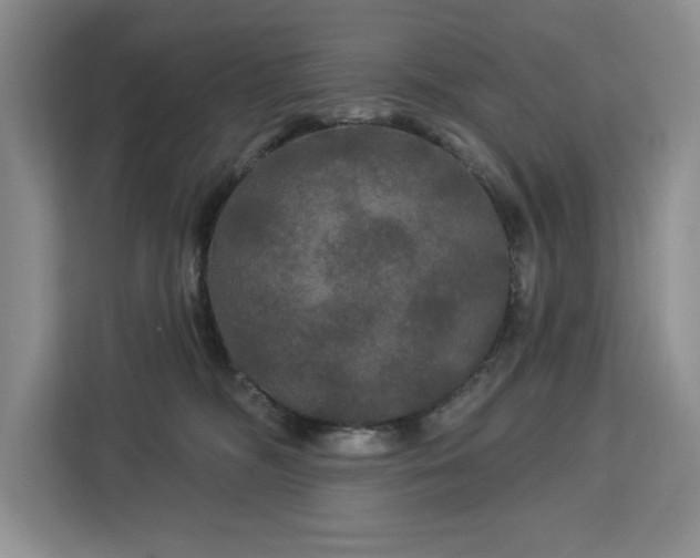 X0000113080326200908281228