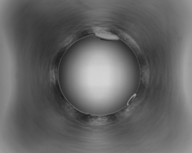 X0000113080329200908281228