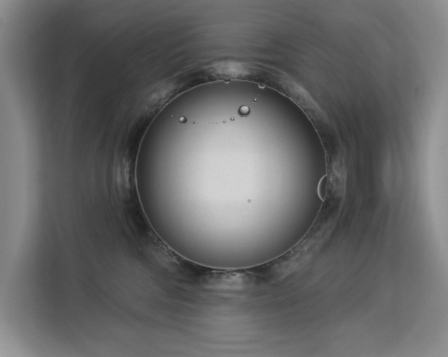 X0000113080330200908281228