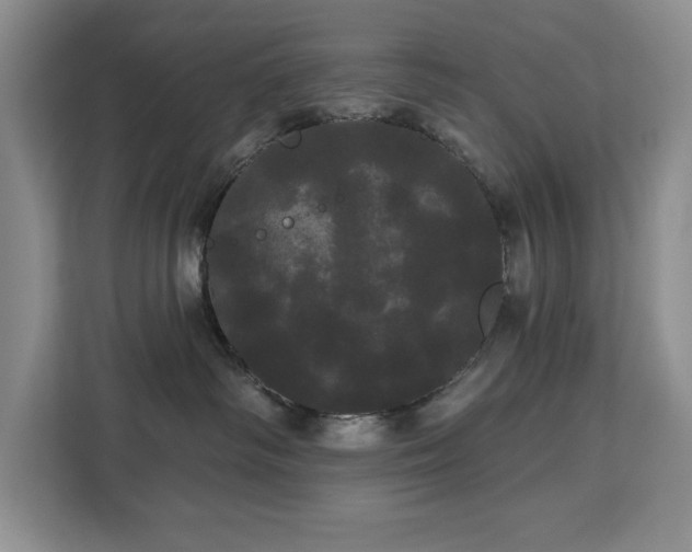 X0000113080334200908281228