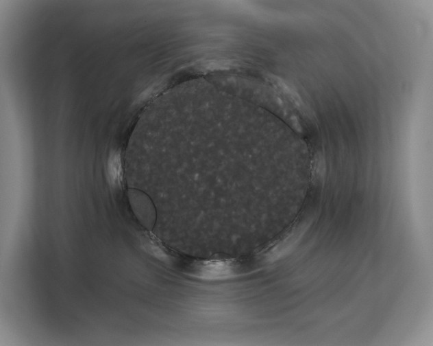 X0000113080335200908281228