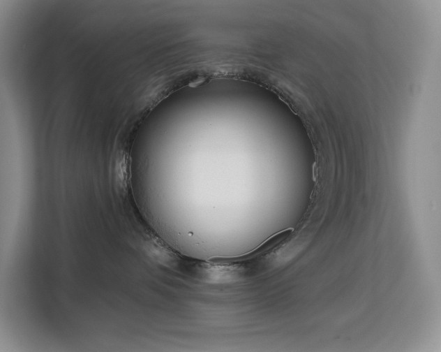 X0000113080336200908281228