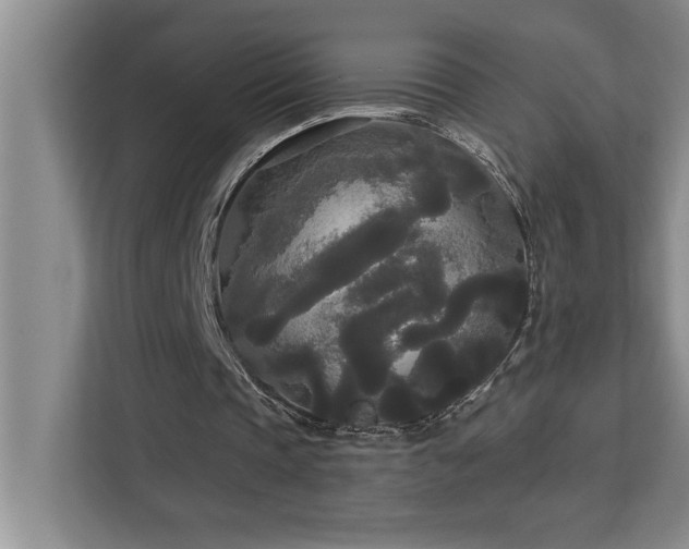 X0000113080337200908281227