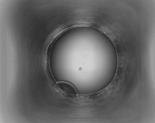 X0000113080338200908281227