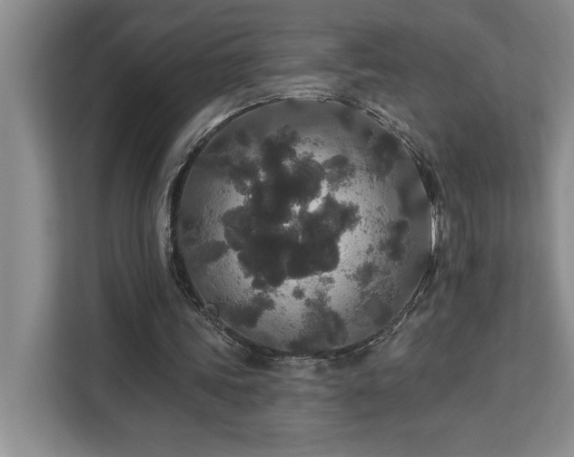 X0000113080339200908281227