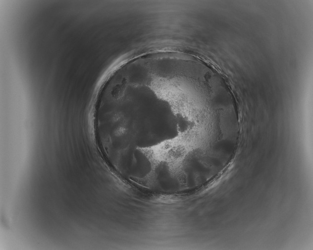 X0000113080341200908281227