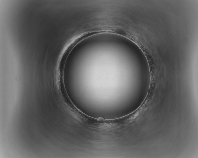 X0000113080342200908281227