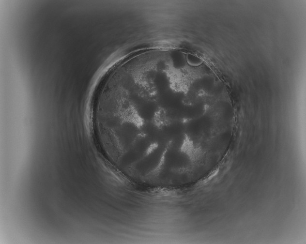 X0000113080343200908281227