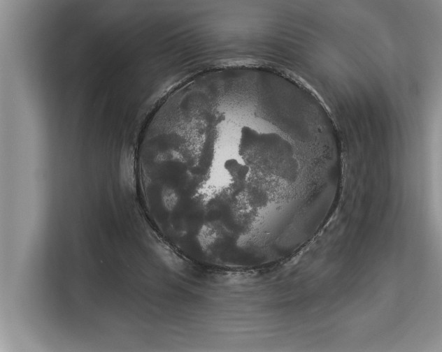 X0000113080345200908281227