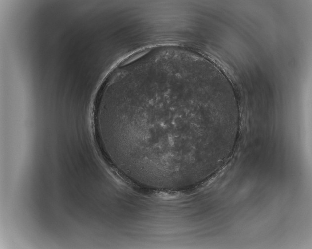 X0000113080346200908281227