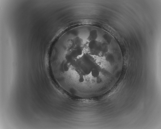 X0000113080347200908281227