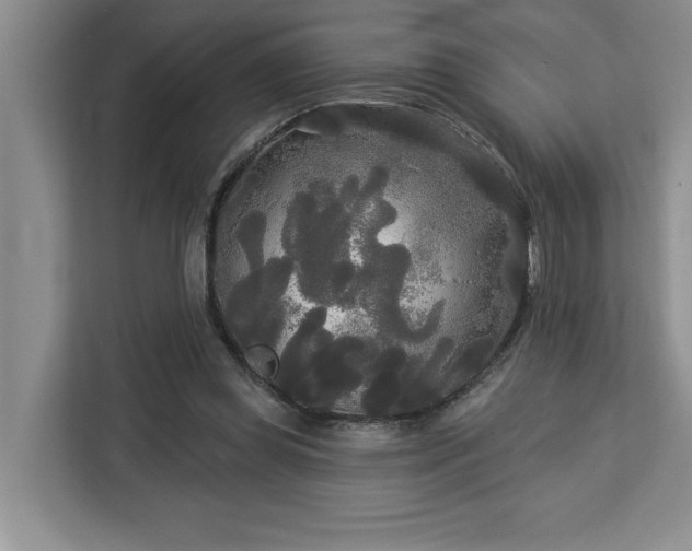 X0000113080349200908281227