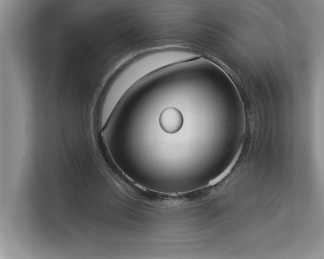 X0000113080350200908281227