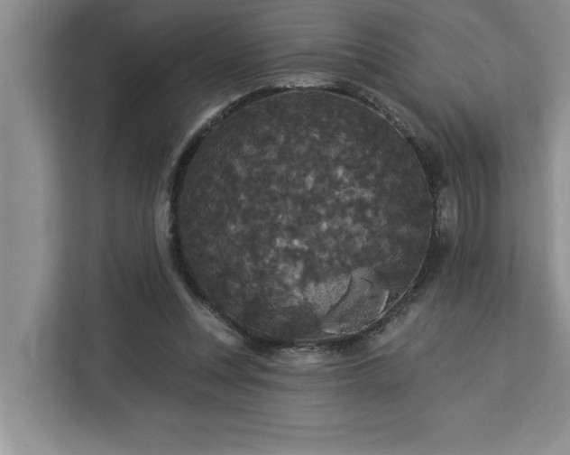 X0000113080351200908281227