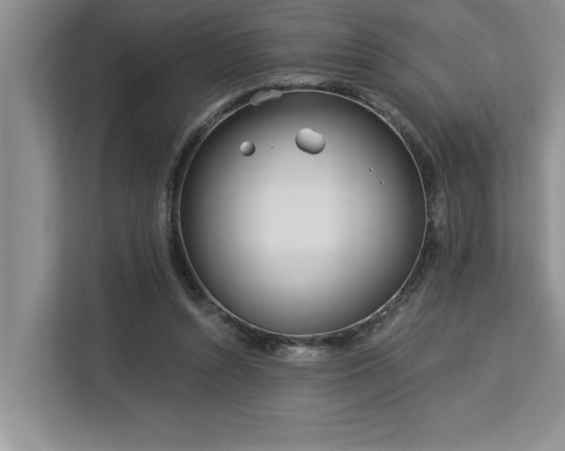 X0000113080352200908281228