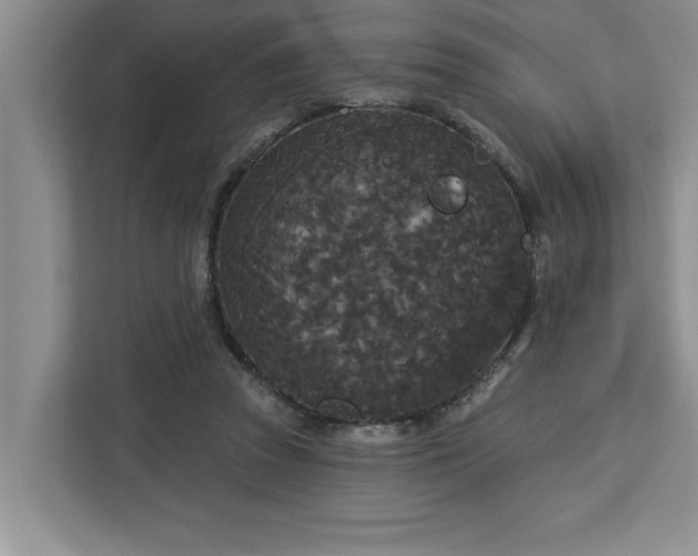 X0000113080353200908281228