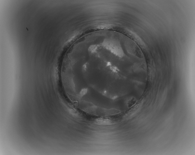 X0000113080354200908281228