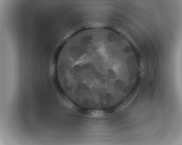 X0000113080355200908281228