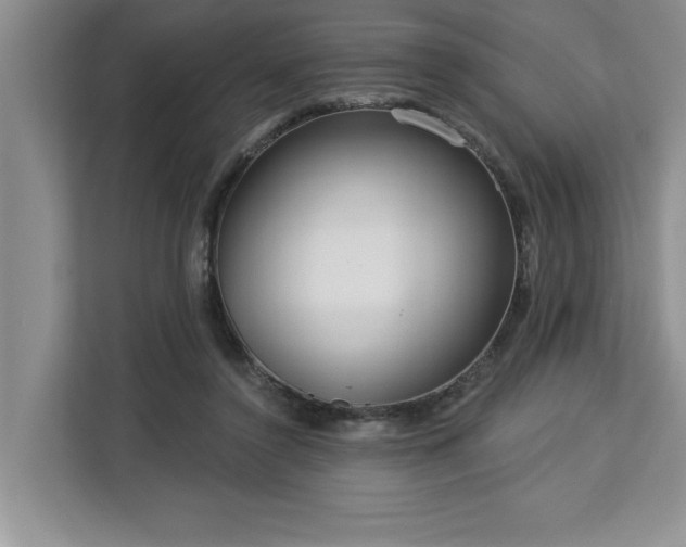 X0000113080356200908281228