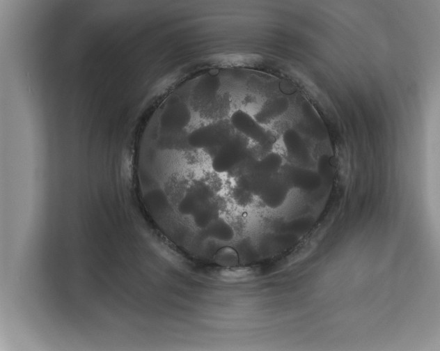 X0000113080357200908281228