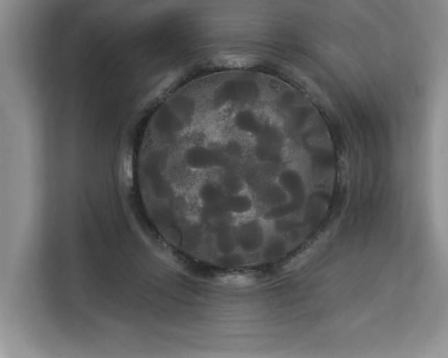 X0000113080358200908281228