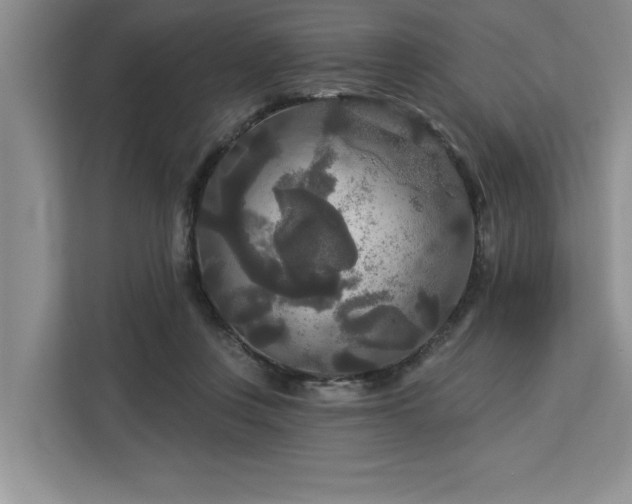 X0000113080359200908281228