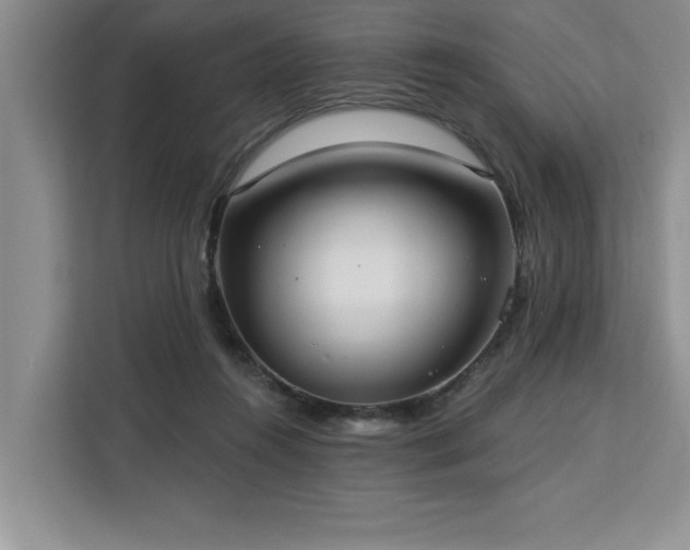 X0000113080360200908281228