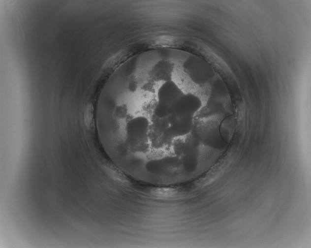 X0000113080361200908281228