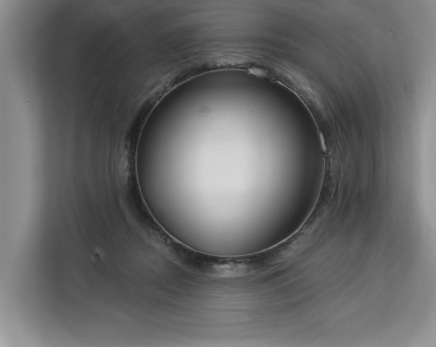 X0000113080362200908281228