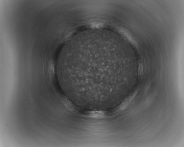 X0000113080363200908281228