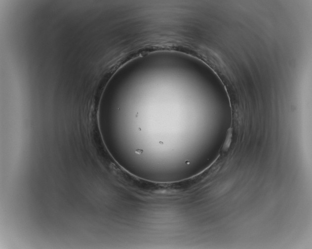 X0000113080364200908281228