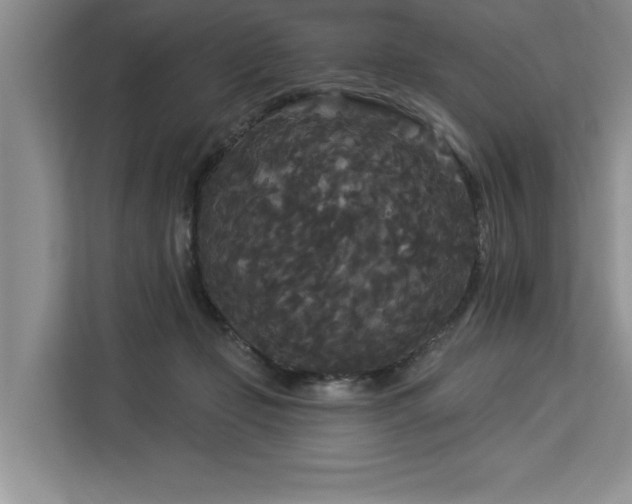 X0000113080365200908281228