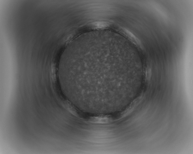 X0000113080366200908281228