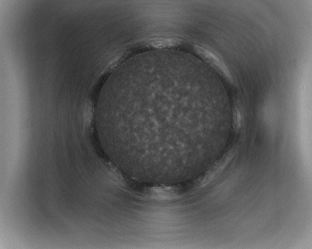 X0000113080367200908281228