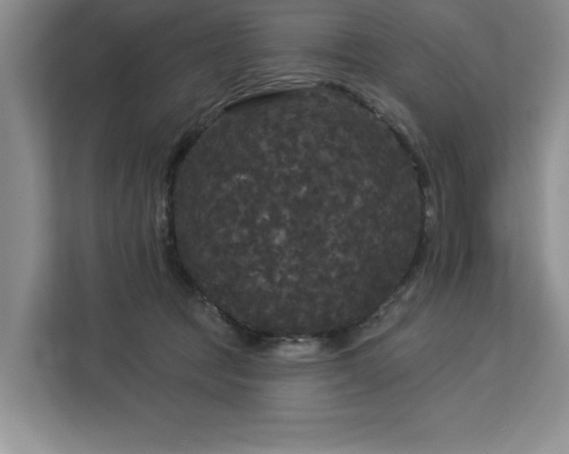 X0000113080369200908281228