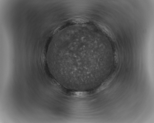 X0000113080371200908281228