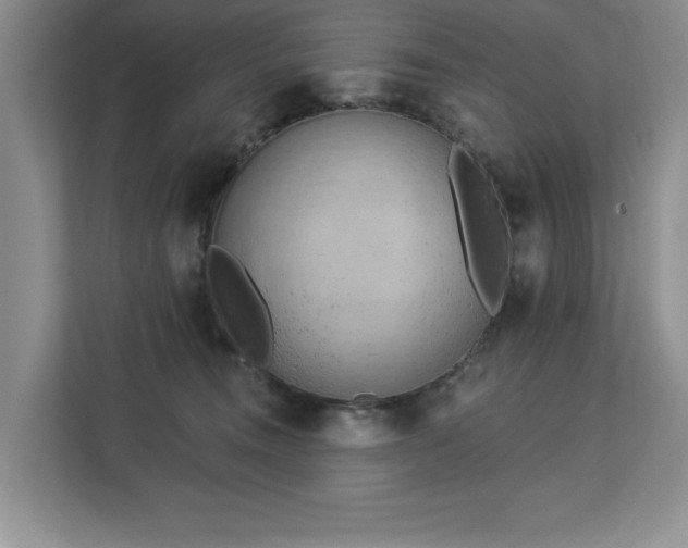 X0000113080372200908281228