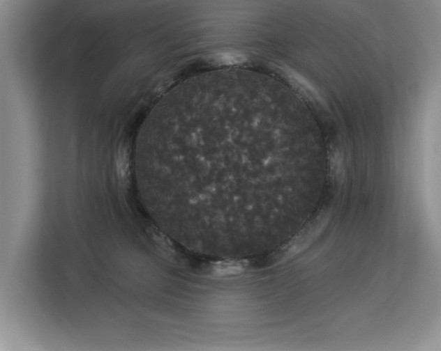 X0000113080373200908281228